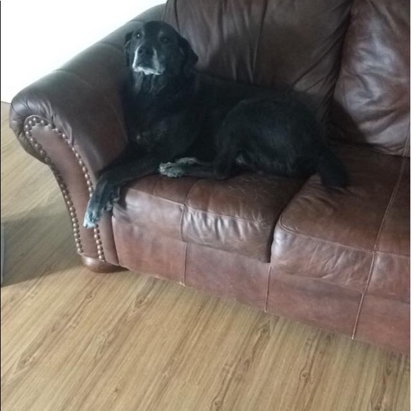 Nice to meet you! - Picture 7 of 8